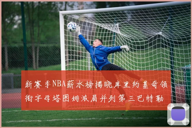 新赛季NBA薪水榜揭晓库里约基奇领衔字母塔图姆浓眉并列第三巴特勒排名第十