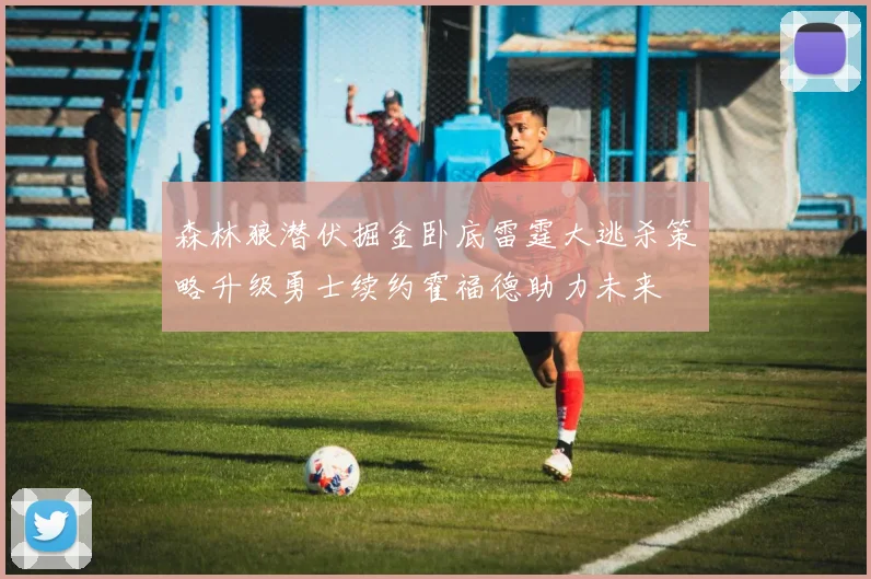森林狼潜伏掘金卧底雷霆大逃杀策略升级勇士续约霍福德助力未来